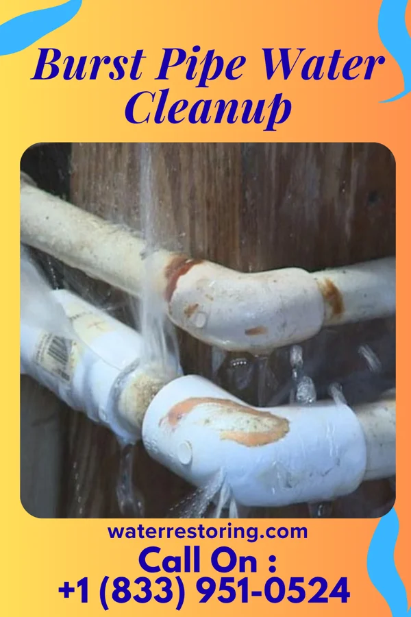 Burst Pipe Water Cleanup in New Franklin, OH