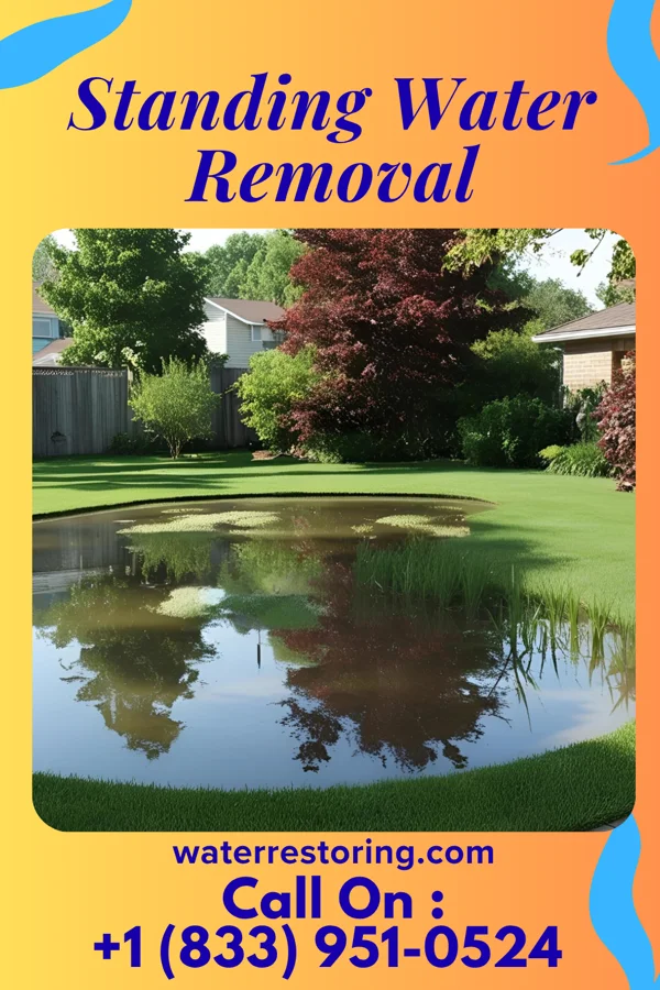Standing Water Removal in New Franklin, OH